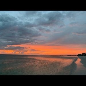 Meet your Posher, Ann